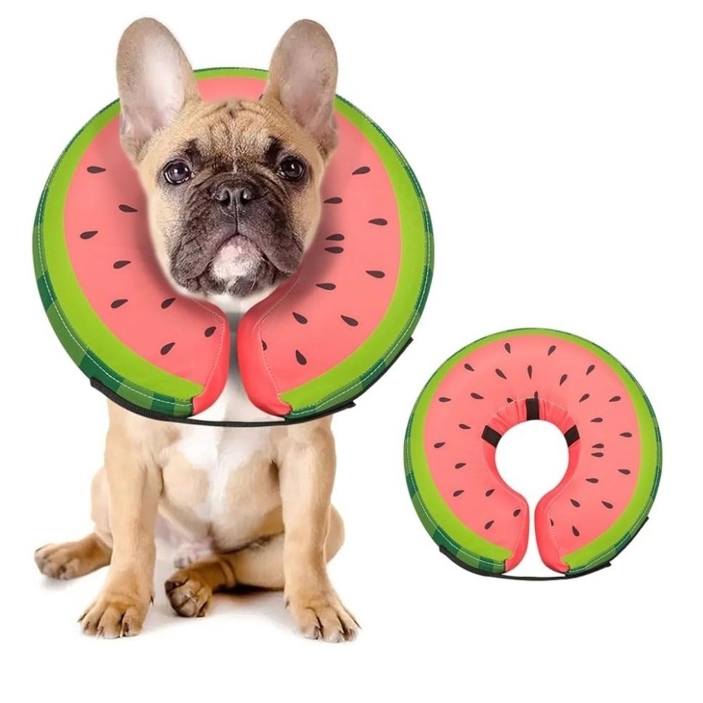 MIDOG Watermelon Inflatable Dog Collar‎ Pet Recovery Cone Soft E Collar Size S